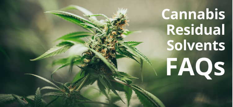 大 麻殘留溶劑常見問題解答